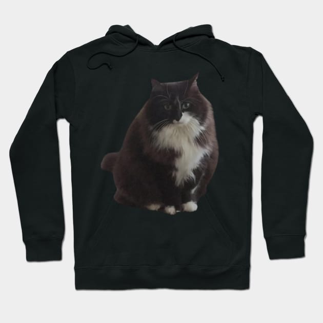 Fat cat Hoodie by Tanias01